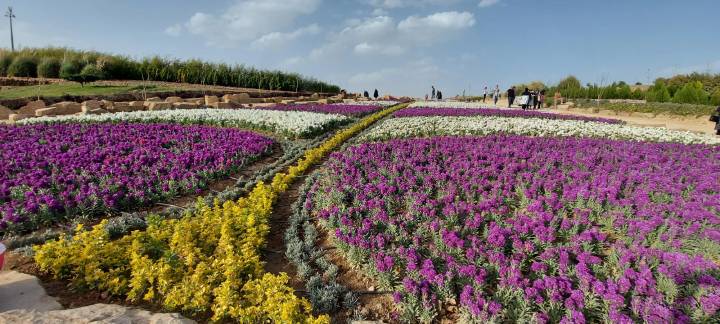 بهترین مکان شیراز برای عکس گرفتن باغ گل ها